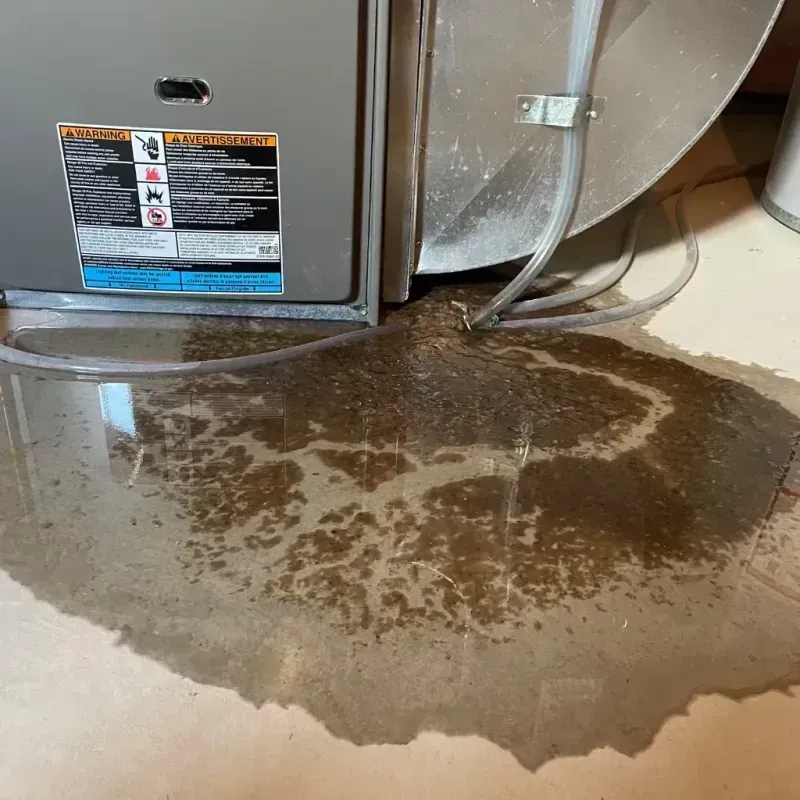 Appliance Leak Cleanup in Centerton, AR